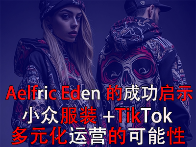 Aelfric Eden的成功启示:小众服装+TikTok多元化运营的可能性 Aelfric Eden的成功启示:小众服装+TikTok多元化运营的可能性