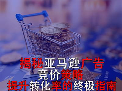 揭秘亚马逊广告竞价策略：提升转化率的终极指南