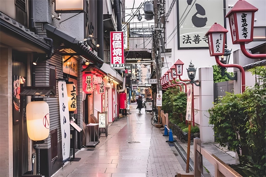  Japan cross-border e-commerce platform market 